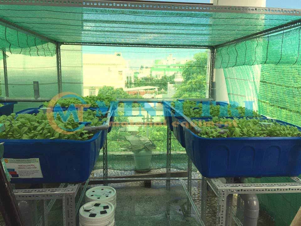 Thiết Bị Vật Tư MINH TRÍ