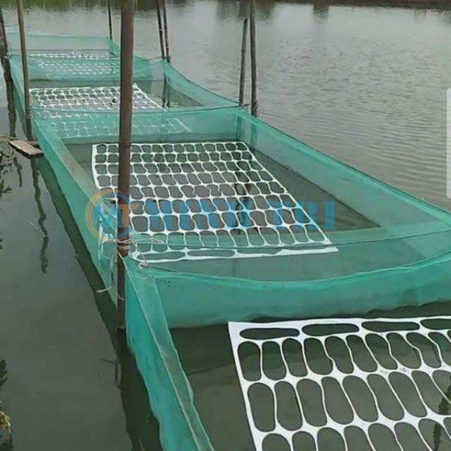 Thiết Bị Vật Tư MINH TRÍ