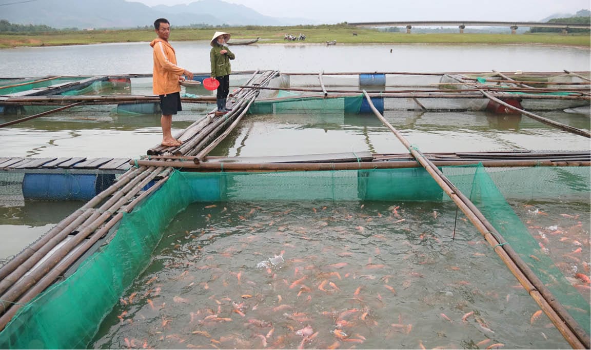 Thiết Bị Vật Tư MINH TRÍ