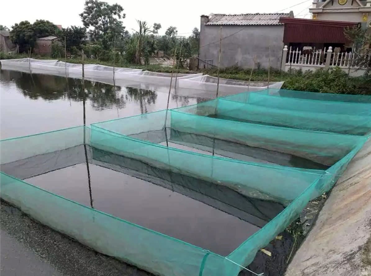 Thiết Bị Vật Tư MINH TRÍ