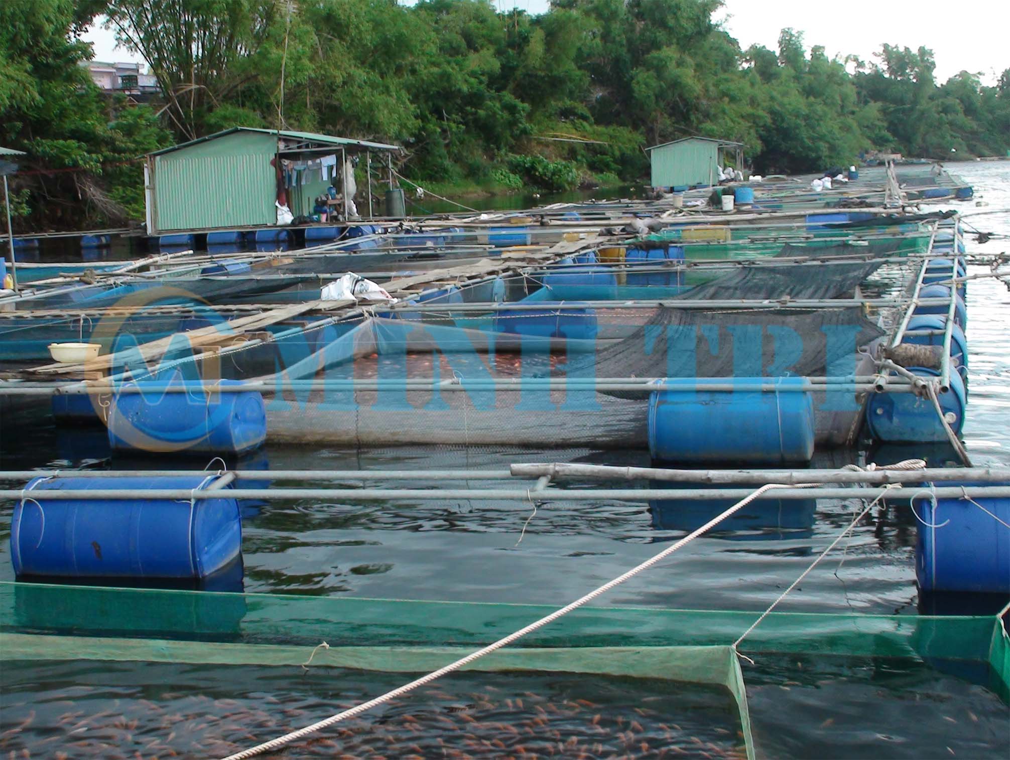 Thiết Bị Vật Tư MINH TRÍ