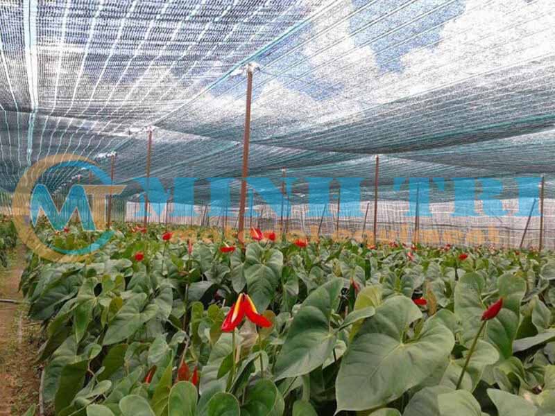 lưới che nắng tại sóc trăng