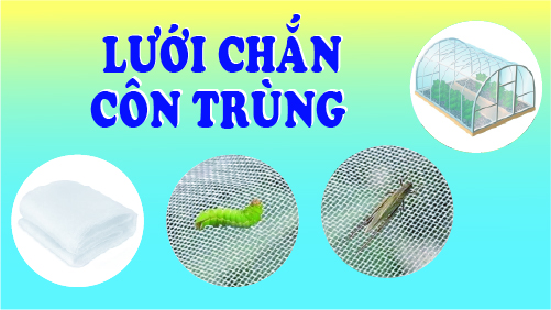 Lưới chắn côn trùng