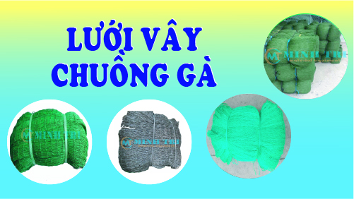 Lưới rào gà